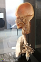 VBS_2696 - Vie respiratorie - Mostra Body Worlds